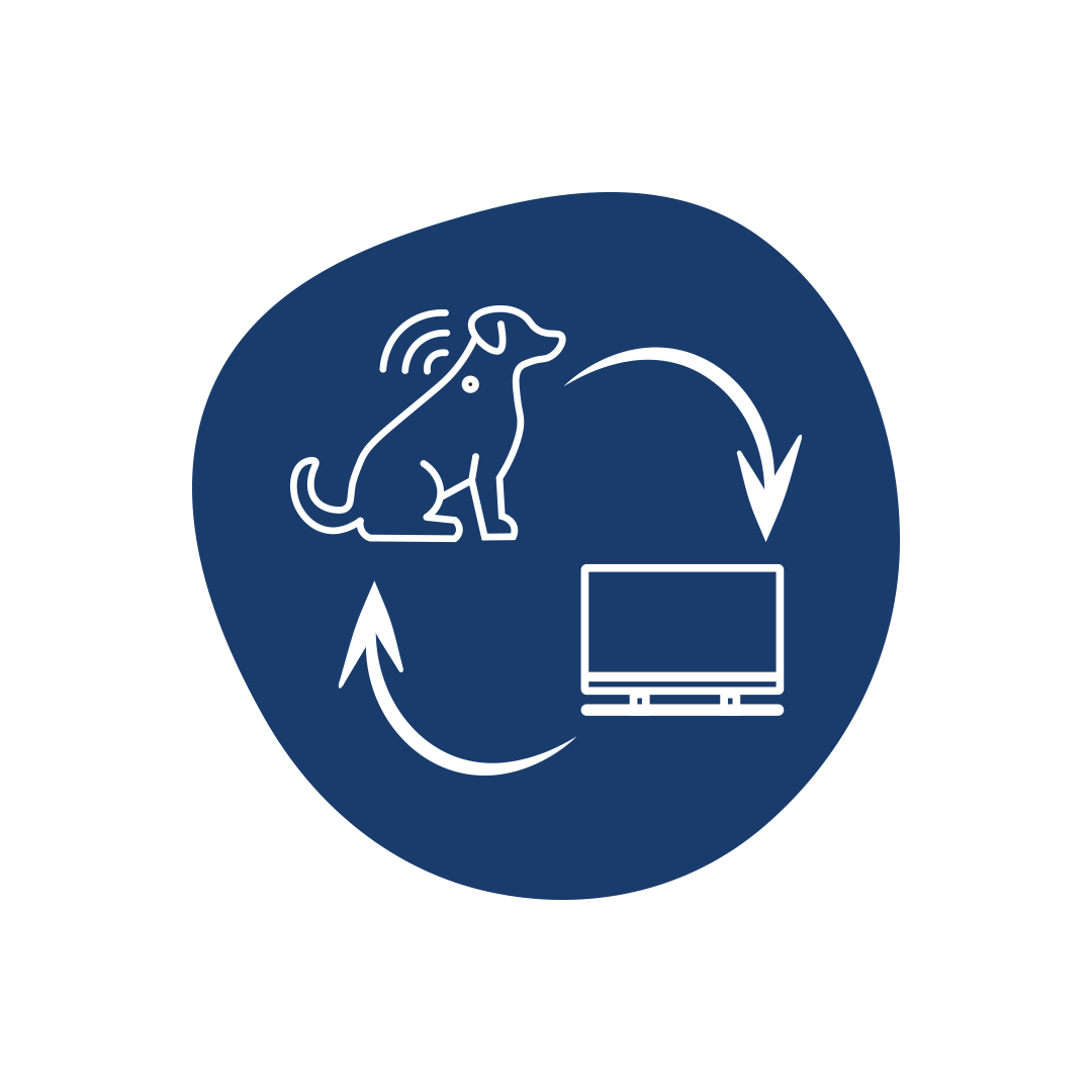 petplan-features